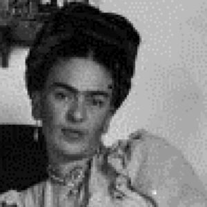 Meet your Posher, Frida